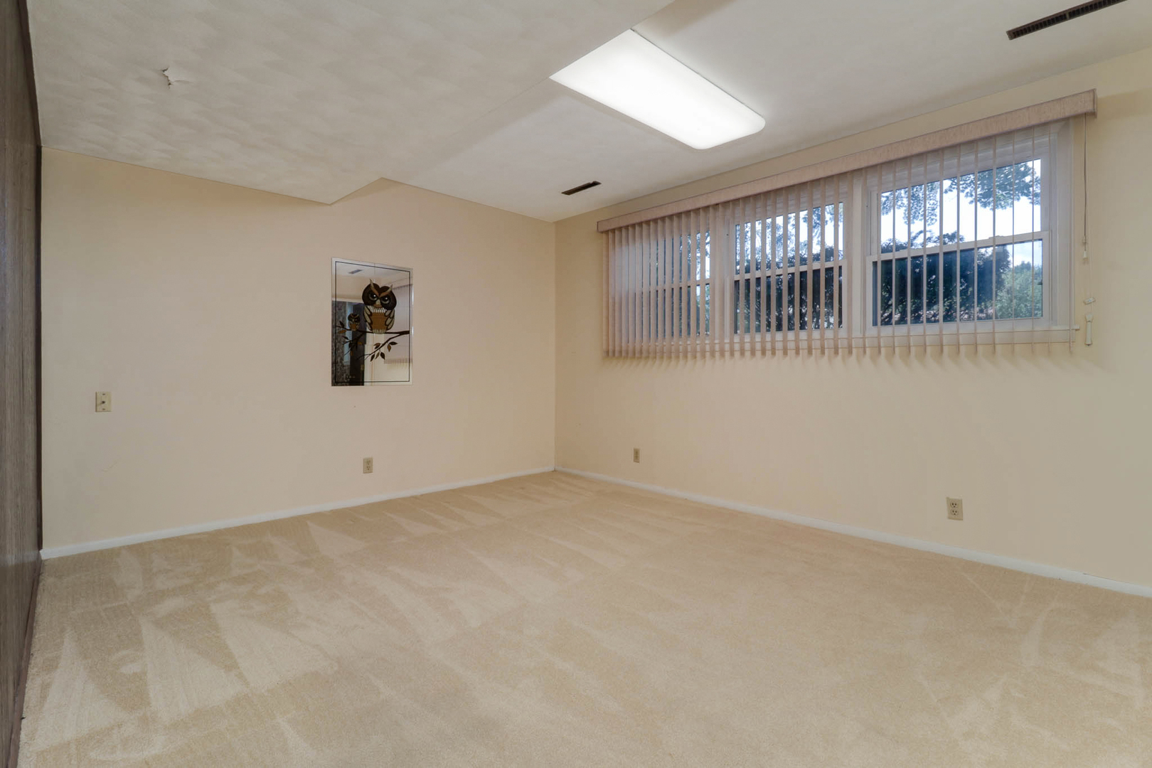 1113 Andover Street Property Photo 31
