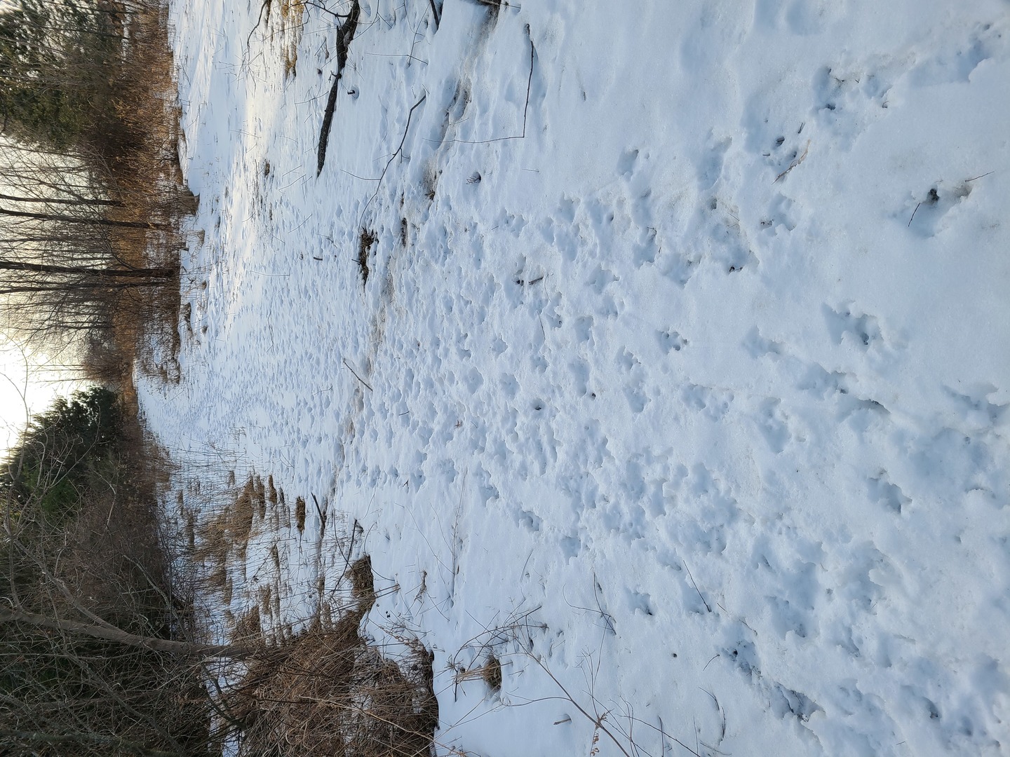 00 Burr Oak Road Property Photo 74