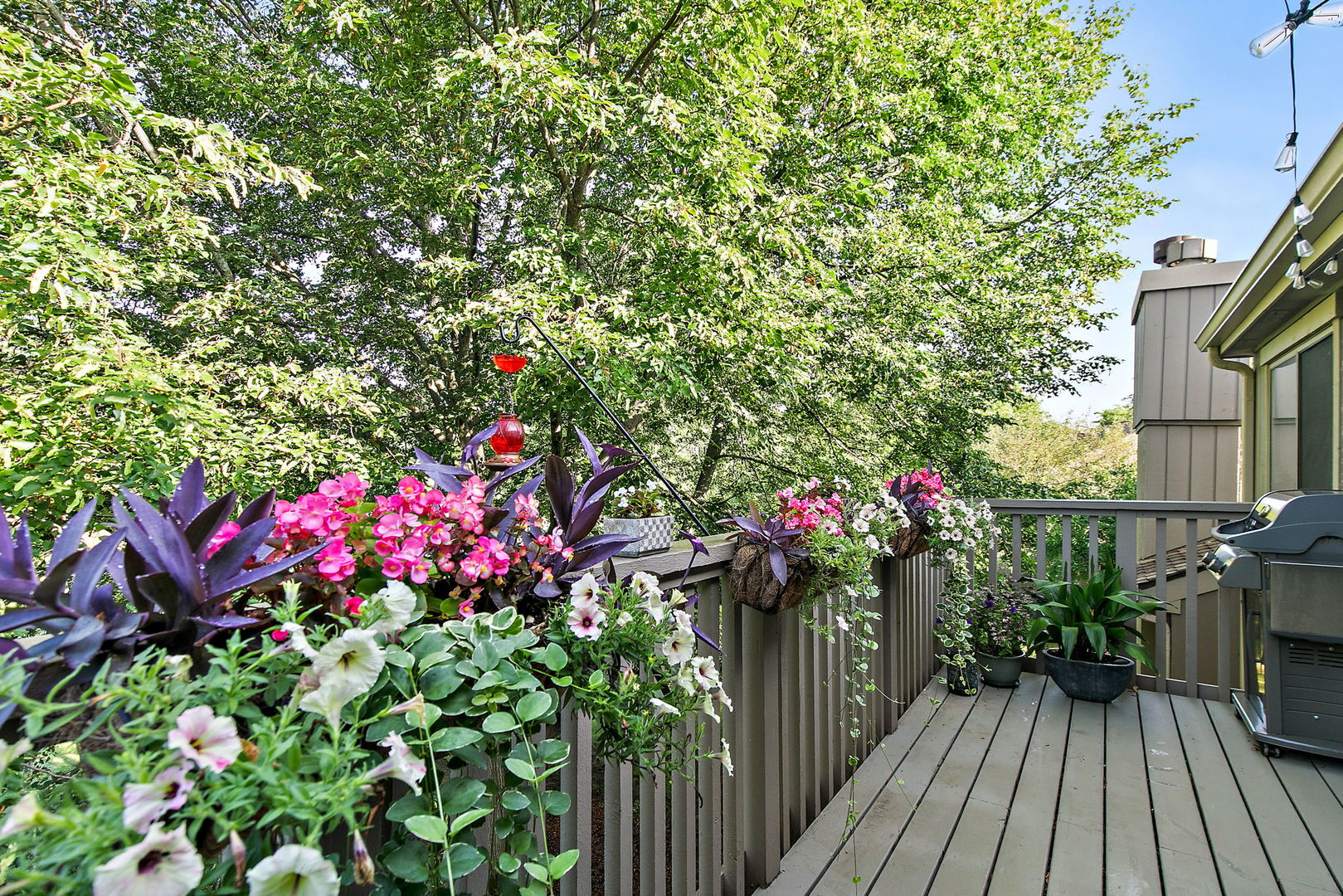1290 Oak Hill Road B Property Photo 19
