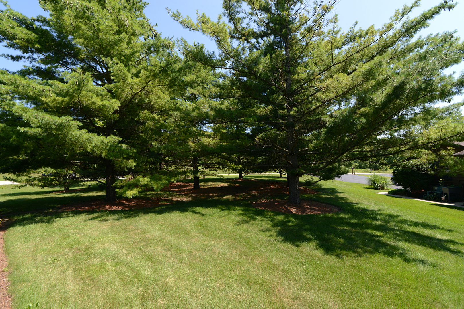 9925 Amanda Lane Property Photo 41