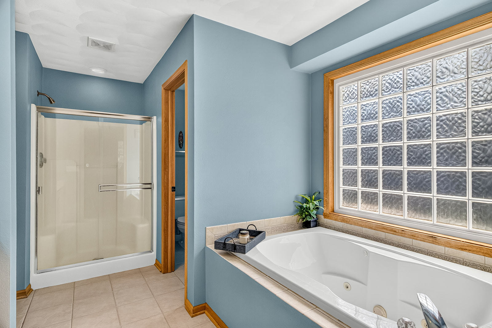 7848 Moore Hill Court Property Photo 28