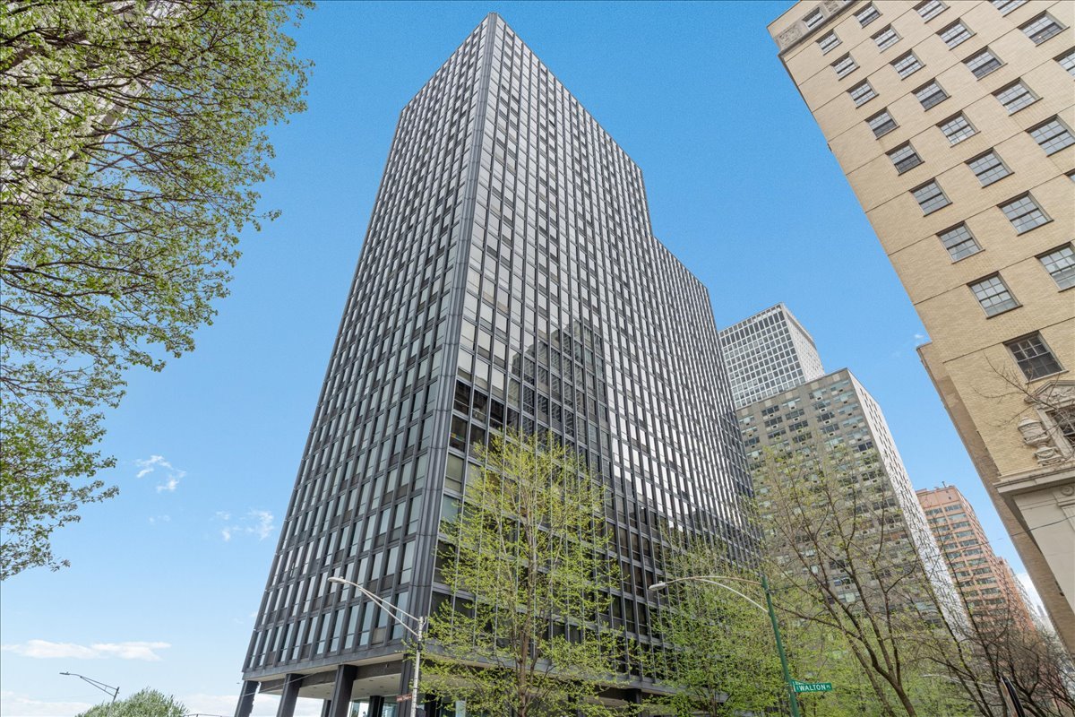 910 N Lake Shore Drive 2820 Property Photo 1