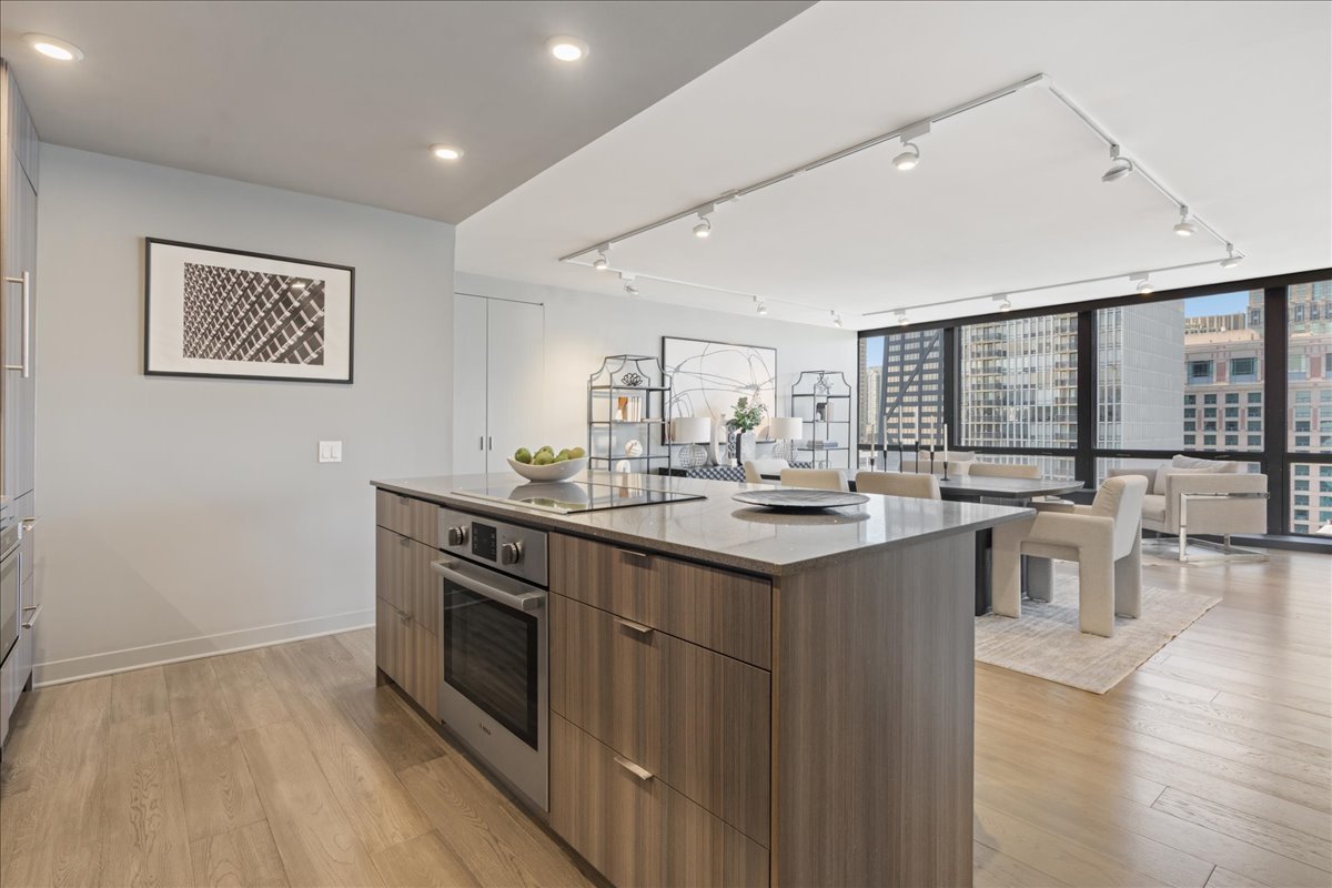 910 N Lake Shore Drive 2820 Property Photo 10