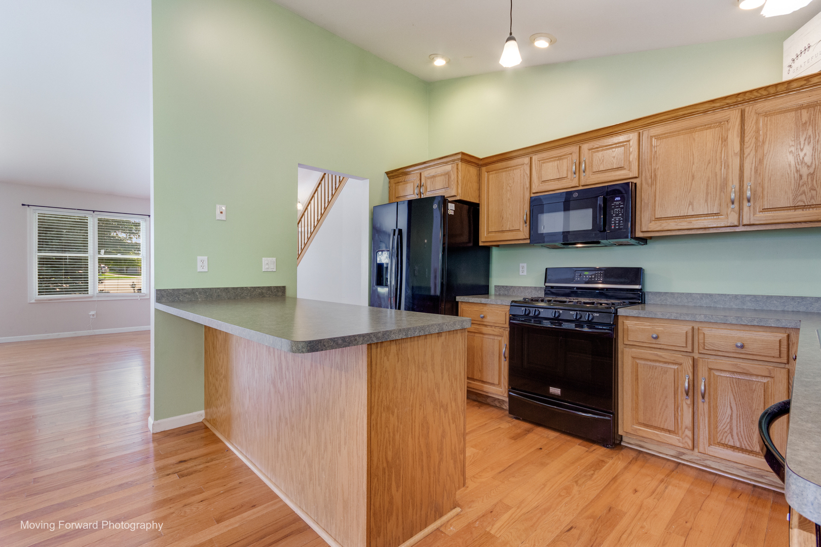 507 E Rennesoy Drive Property Photo 10