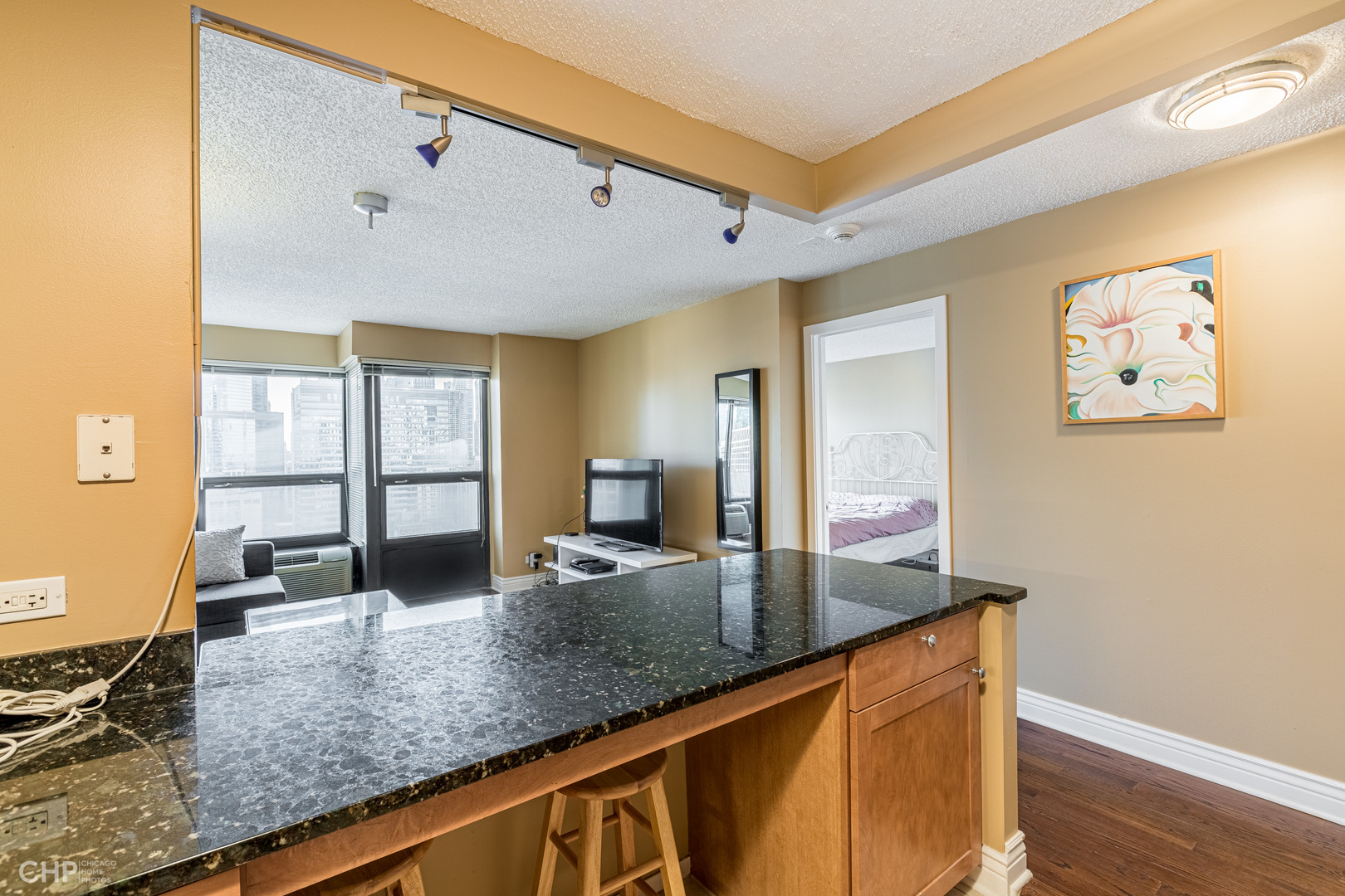 30 E Huron Street 3003 Property Photo 7