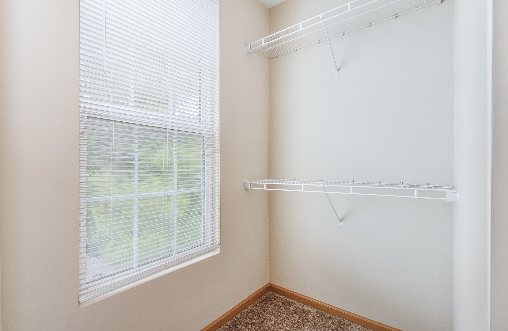 797 Serendipity Drive Property Photo 11