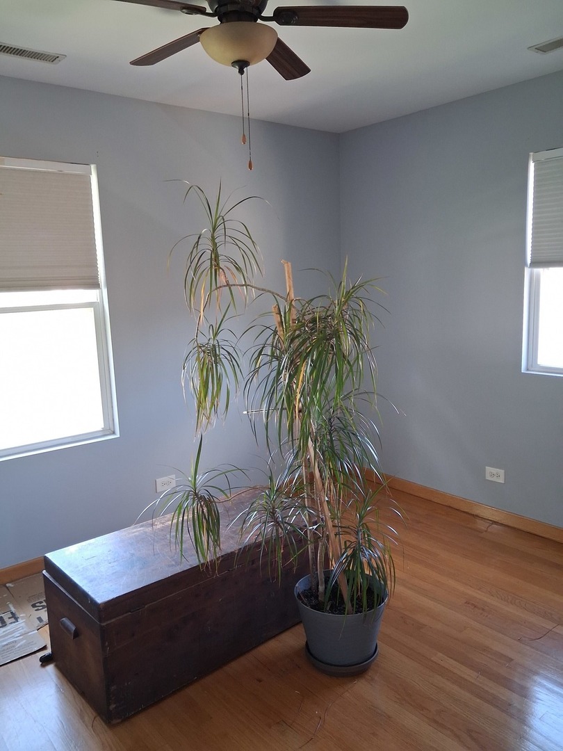 3005 Lincoln Street Property Photo 9