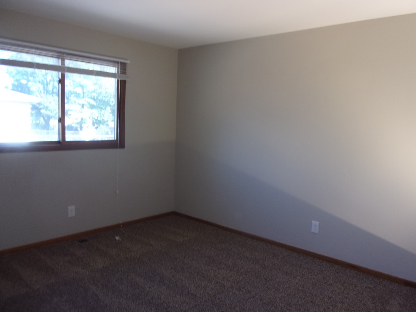 14249 Evans Avenue Property Photo 10