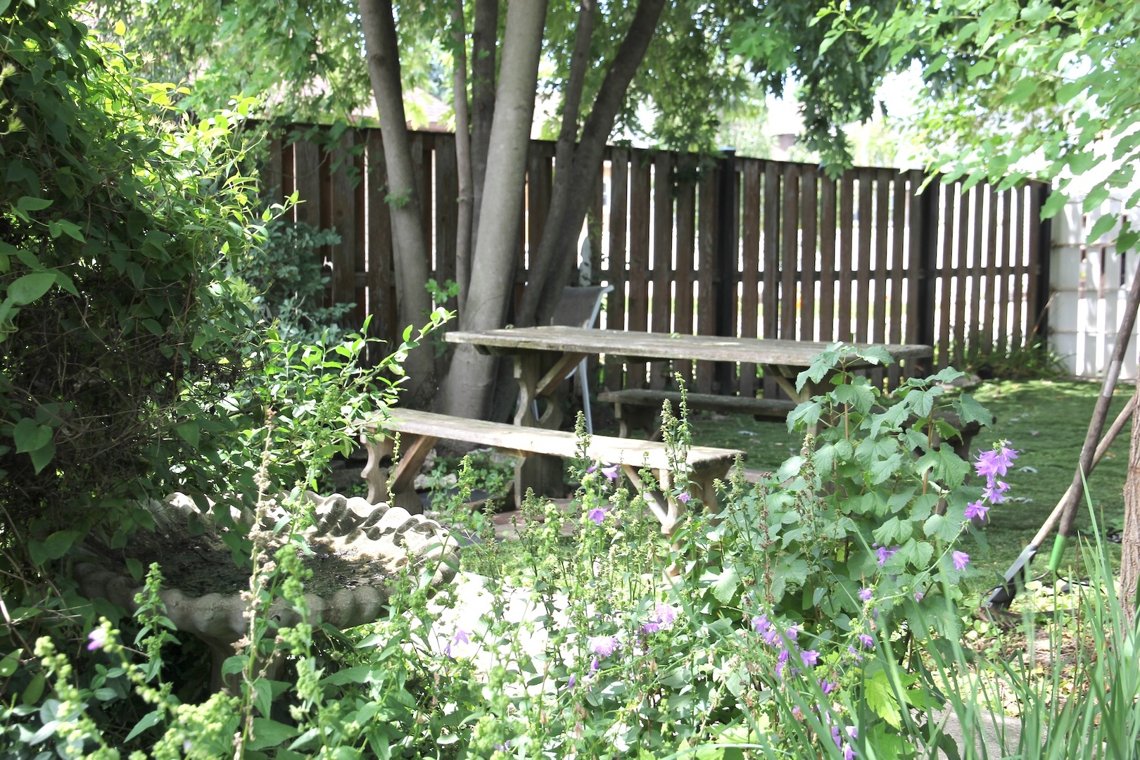 4256 N Ottawa Avenue Property Photo 28
