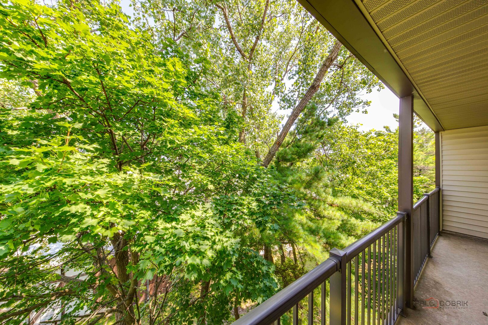 3030 Pheasant Creek Drive 405 Property Photo 19