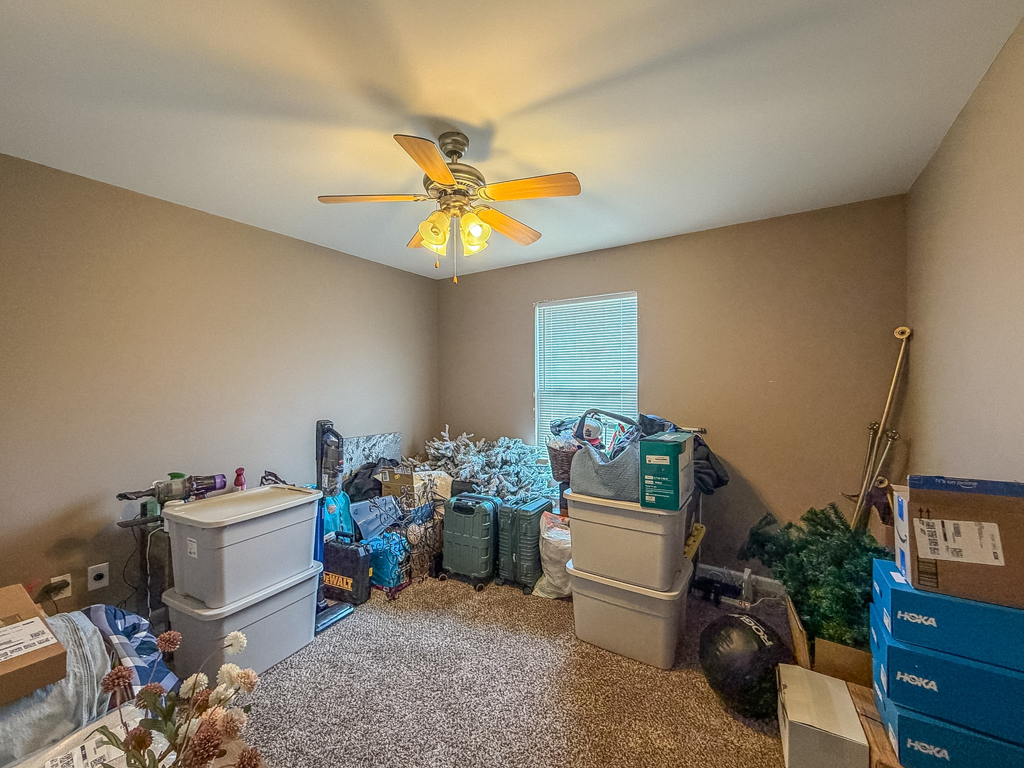 636 Sedgegrass Drive Property Photo 29