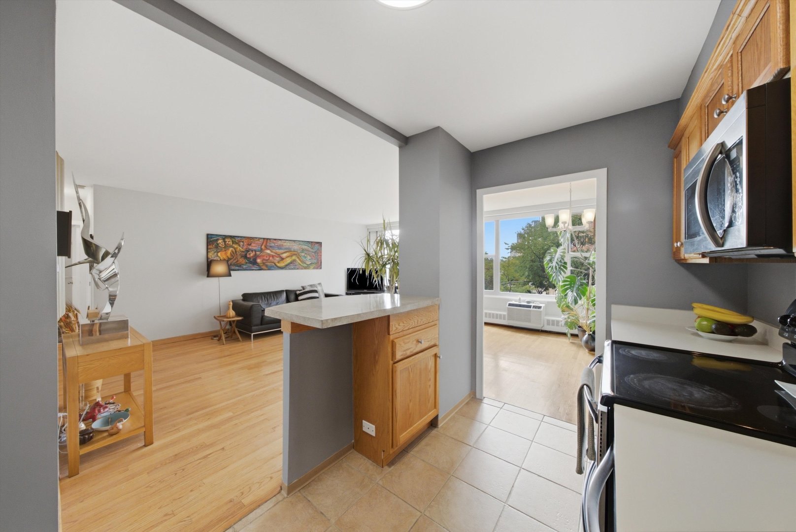 3900 N Lake Shore Drive 4b Property Photo 4