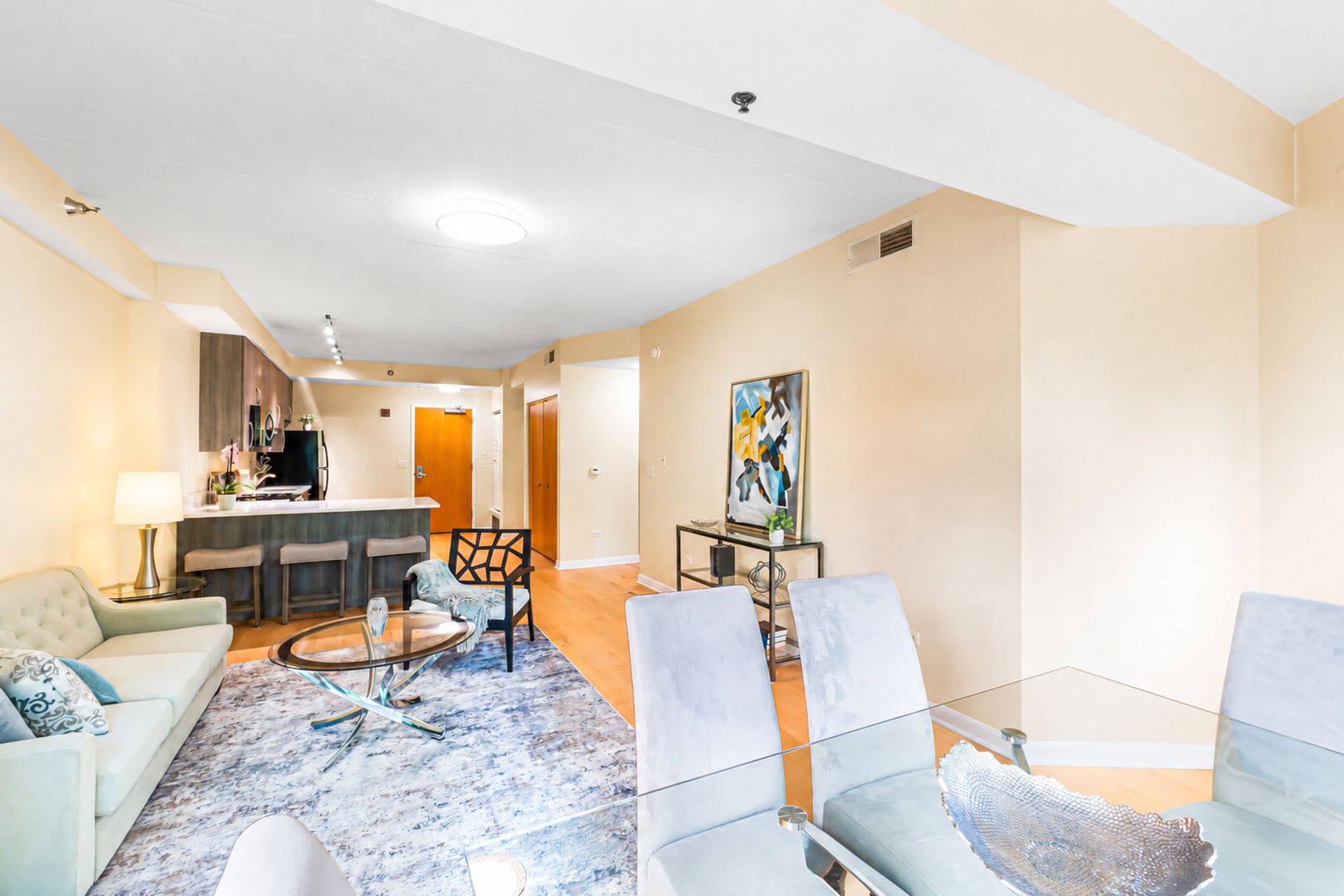 1250 S Indiana Avenue 307 Property Photo 6