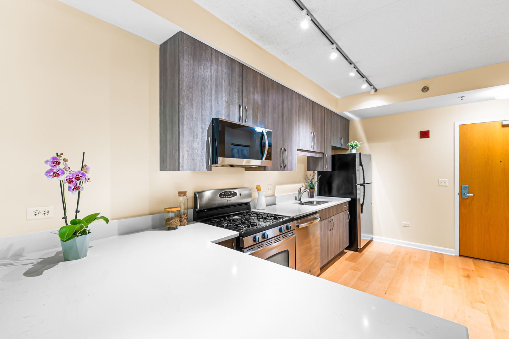 1250 S Indiana Avenue 307 Property Photo 7