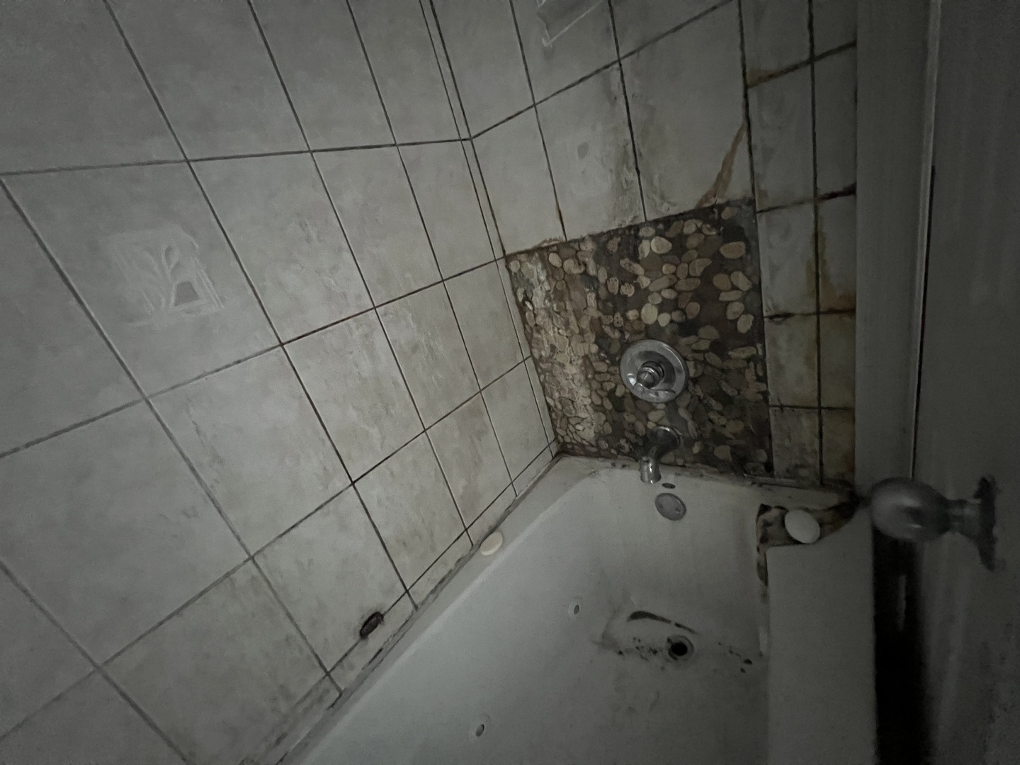 106 W 91st Place Property Photo 14