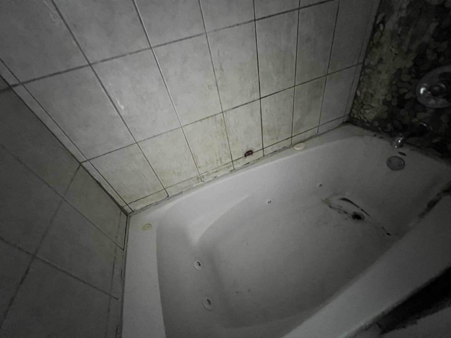 106 W 91st Place Property Photo 15