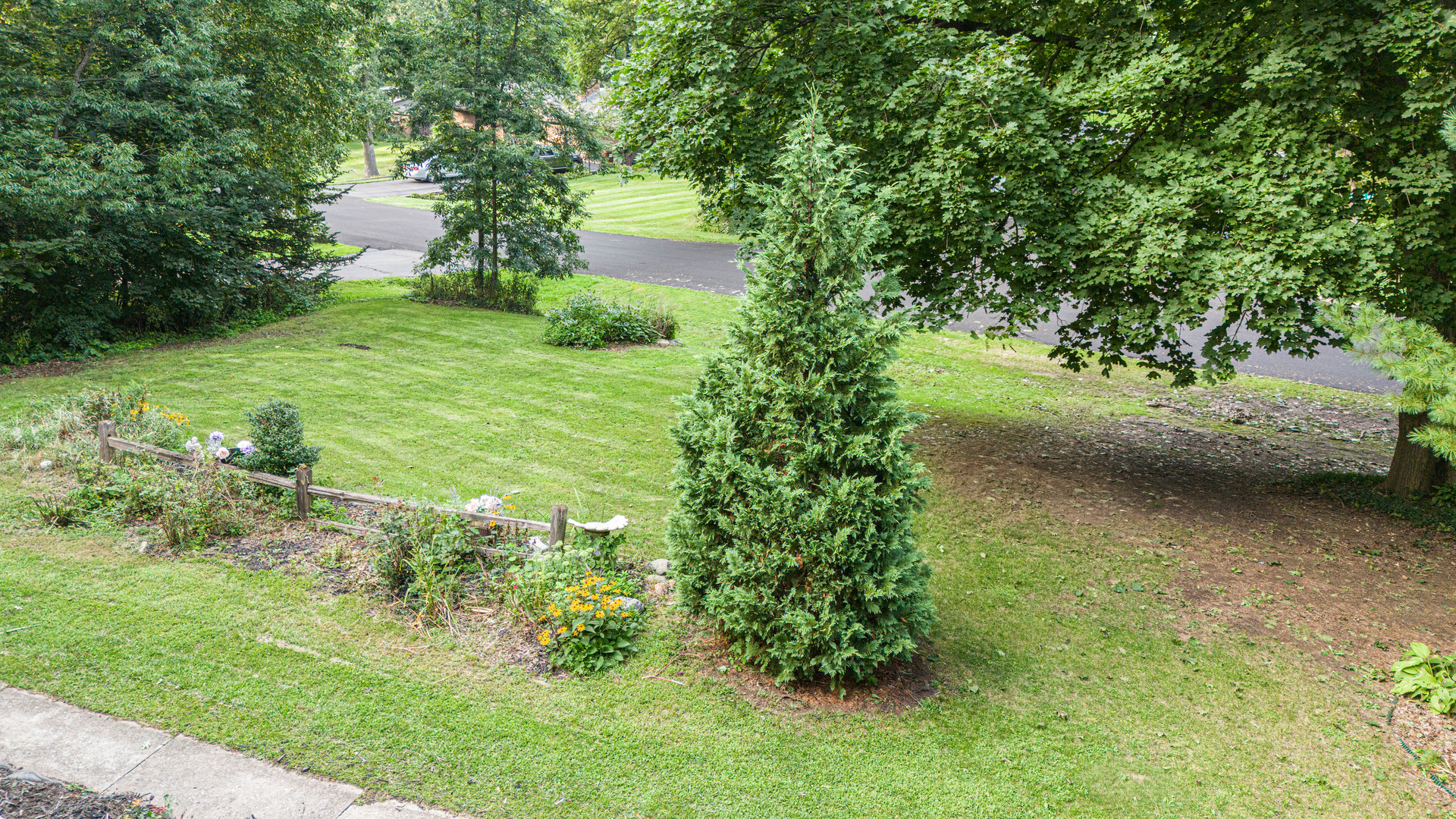 7901 Louella Drive Property Photo 36