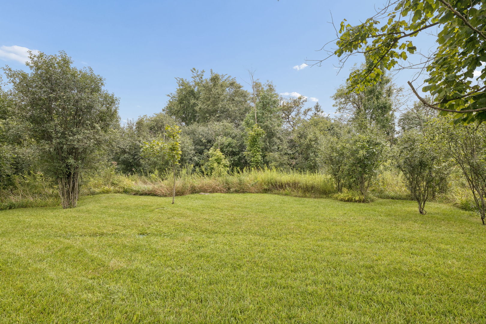 11415 Plattner Drive Property Photo 42