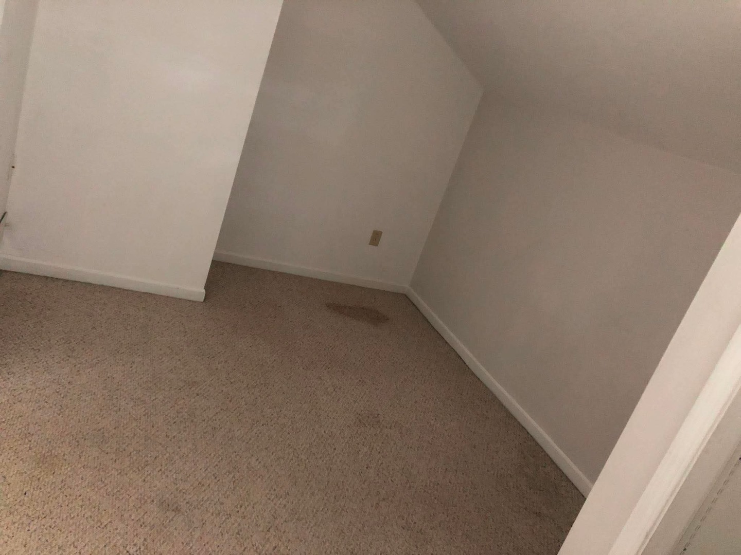 219 W 4th Street Property Photo 9