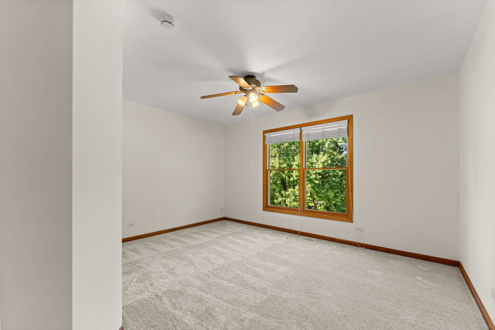9 N Daniels Drive Property Photo 44