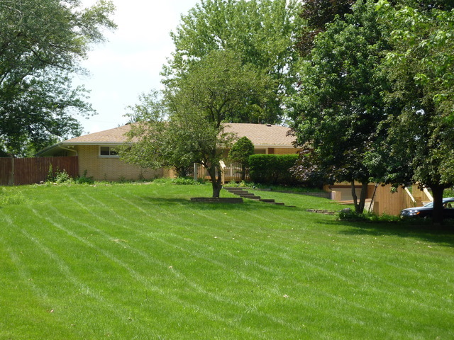 7n606 Hawthorne Avenue Property Photo 2