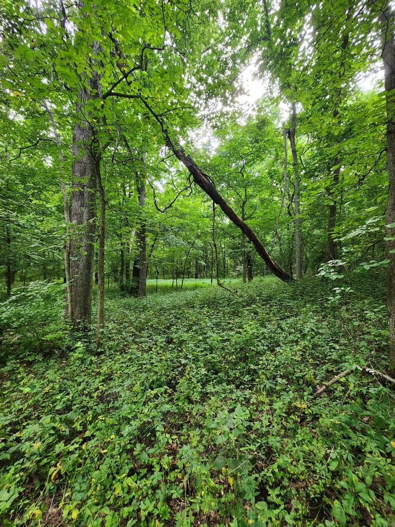 1388 265th Street Property Photo 15