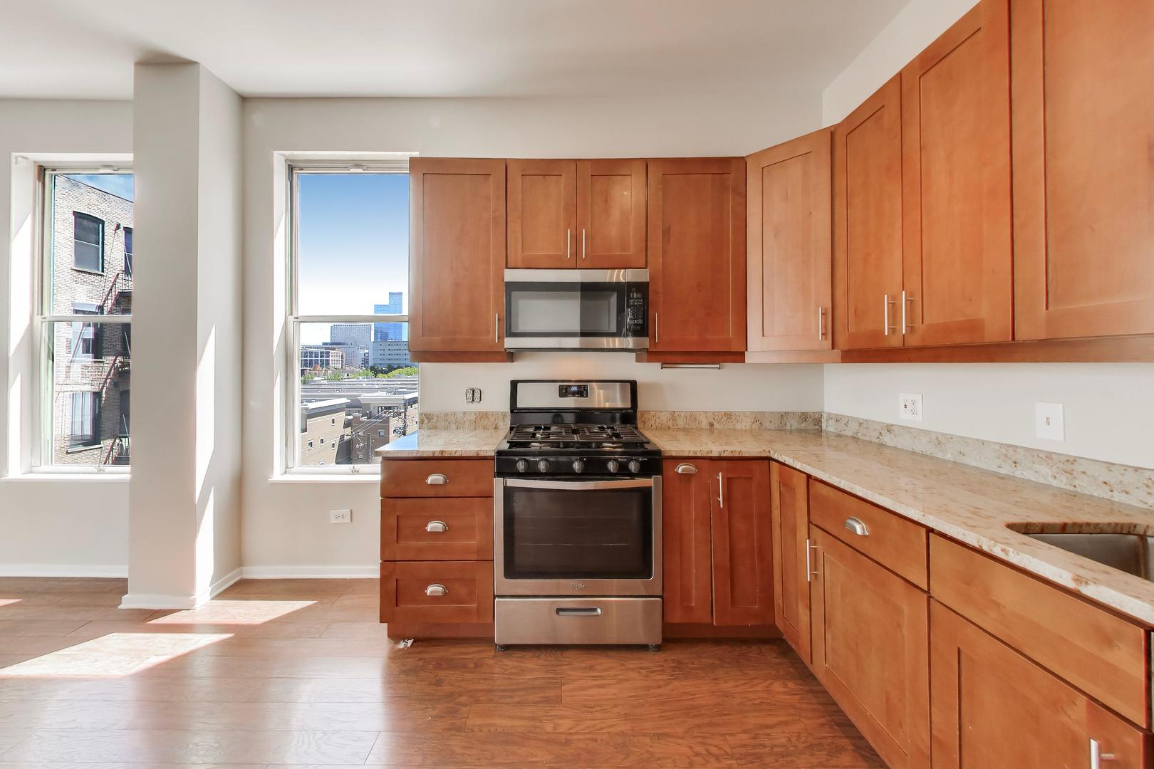 1631 S Michigan Avenue 506 Property Photo 13