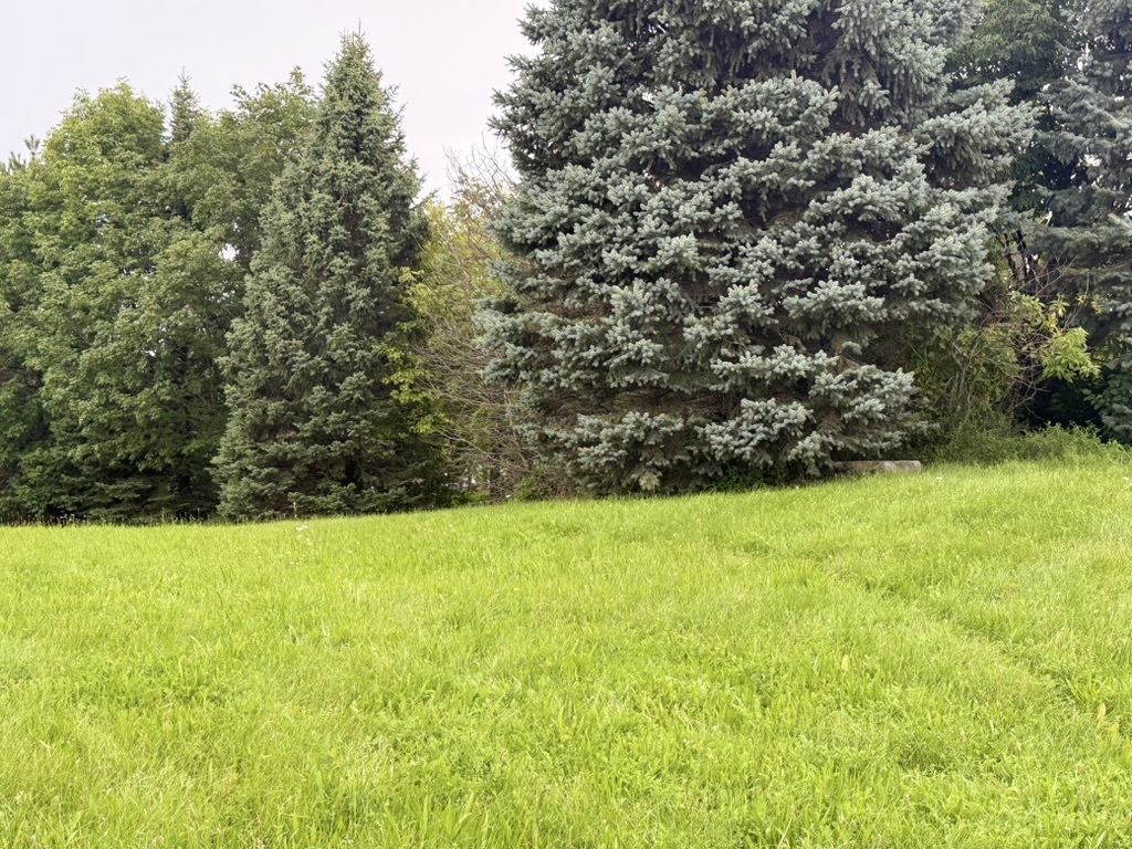 510 Enclave Drive Property Photo 3