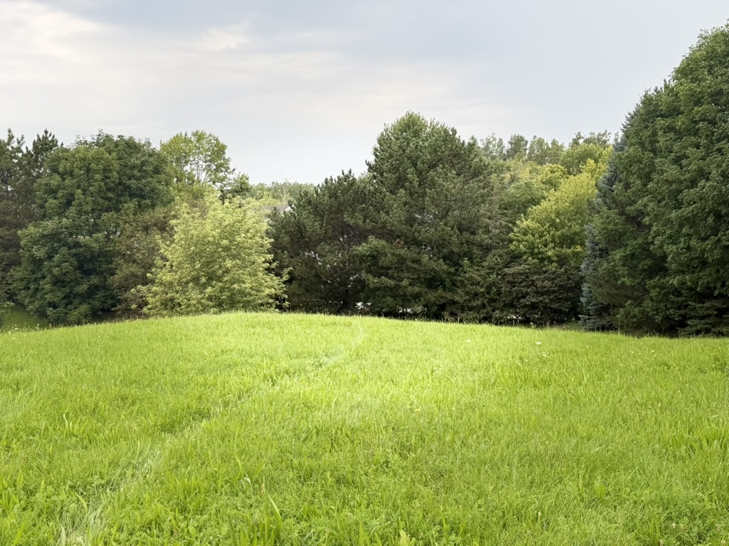 510 Enclave Drive Property Photo 4