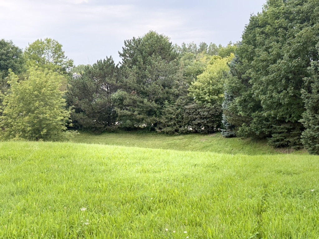 510 Enclave Drive Property Photo 5
