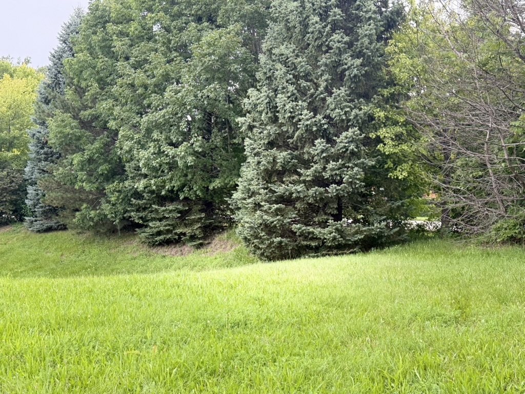 510 Enclave Drive Property Photo 6