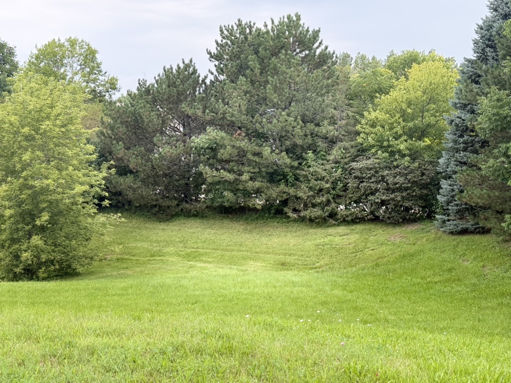510 Enclave Drive Property Photo 7