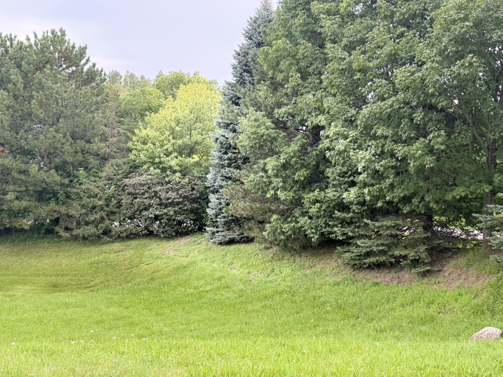 510 Enclave Drive Property Photo 8