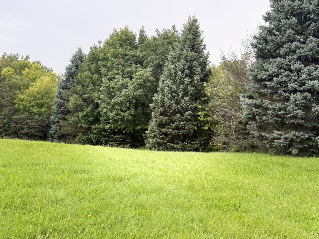 510 Enclave Drive Property Photo 13