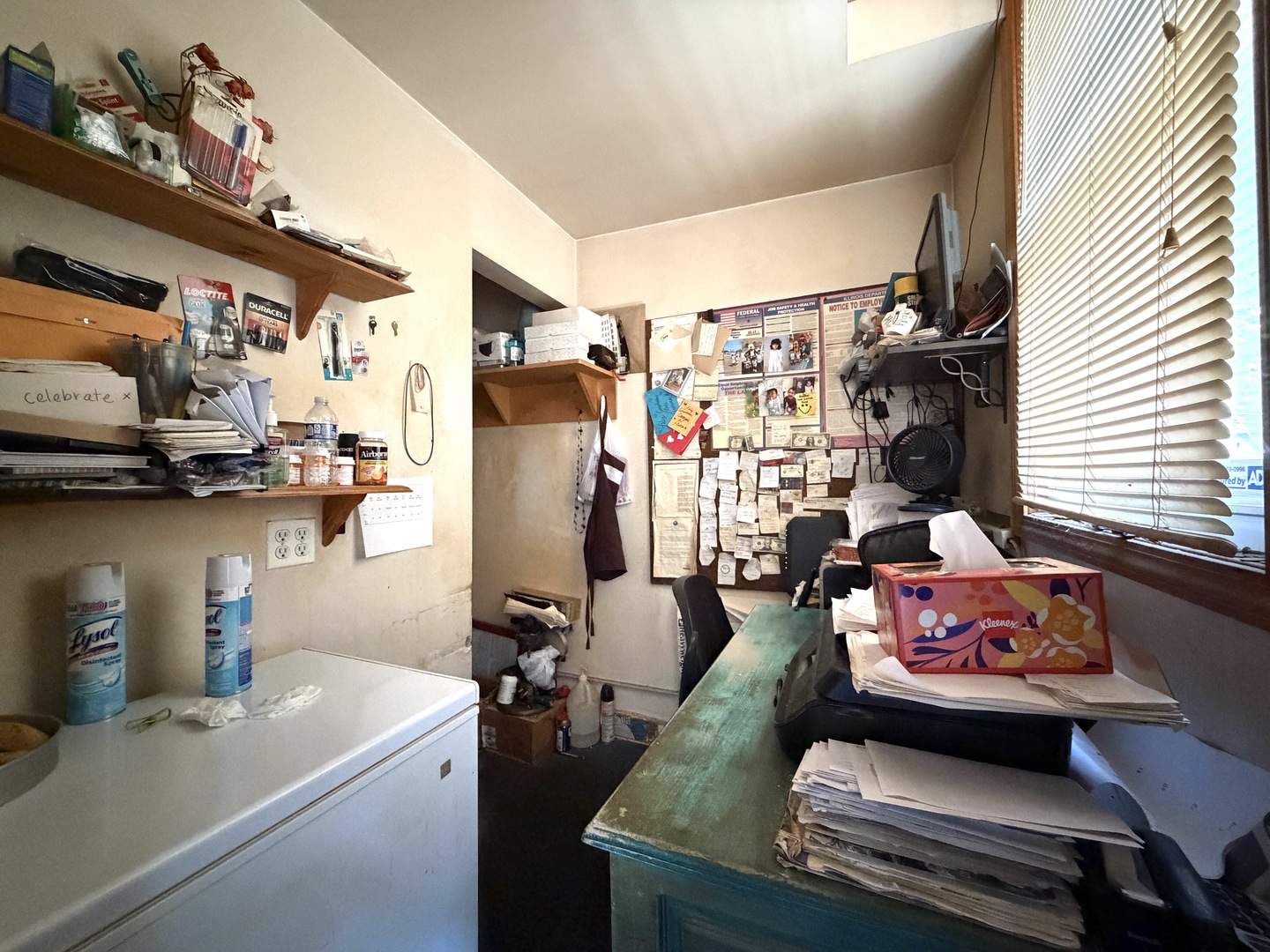1733 S Halsted Street Property Photo 21
