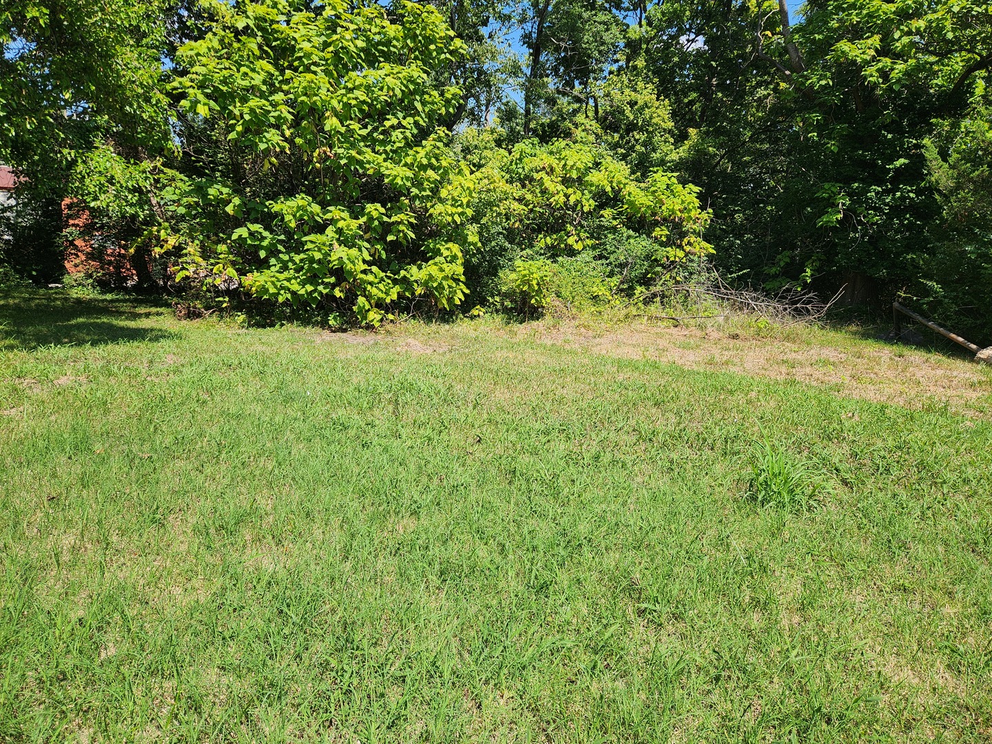 816 Warren Avenue Property Photo 19