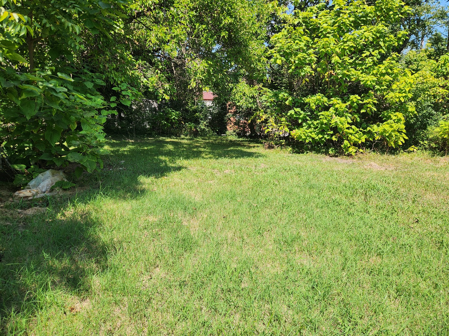 816 Warren Avenue Property Photo 20