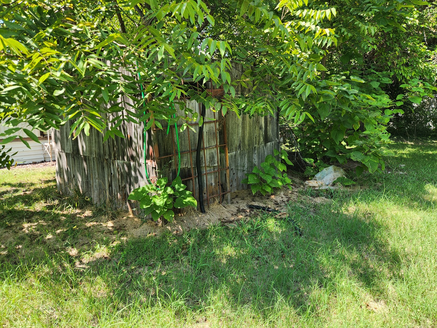 816 Warren Avenue Property Photo 21
