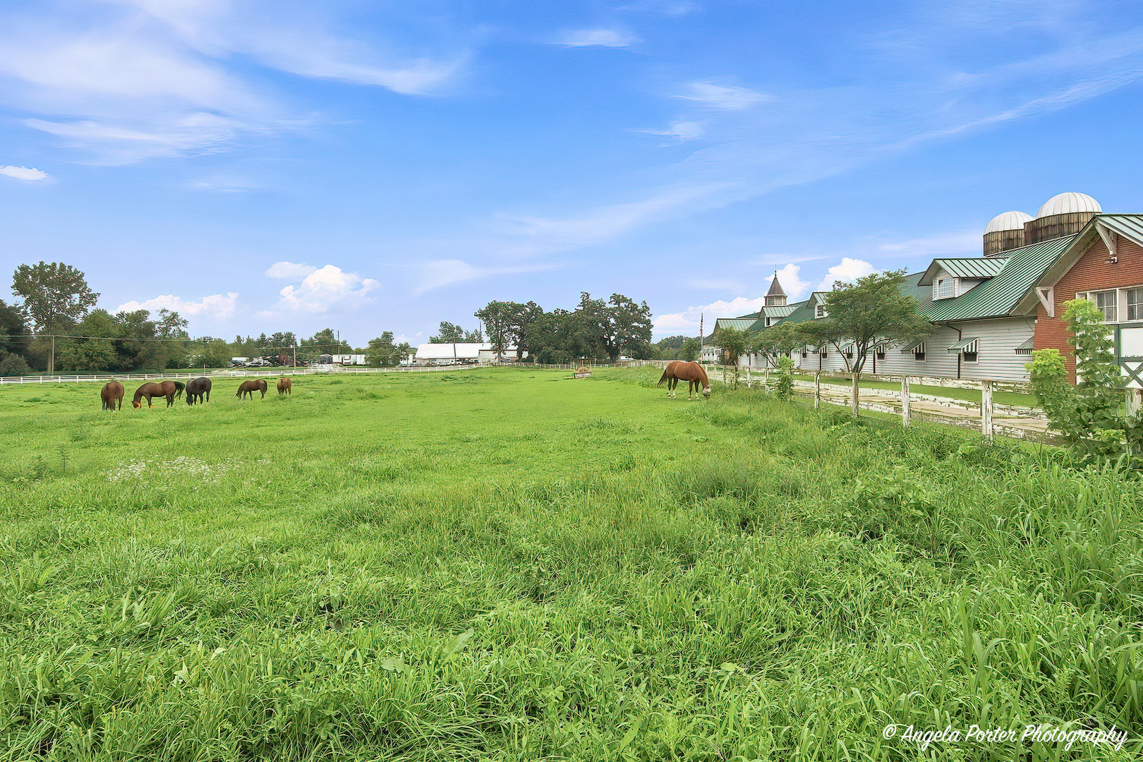 4604 Lakeshore Drive Property Photo 46