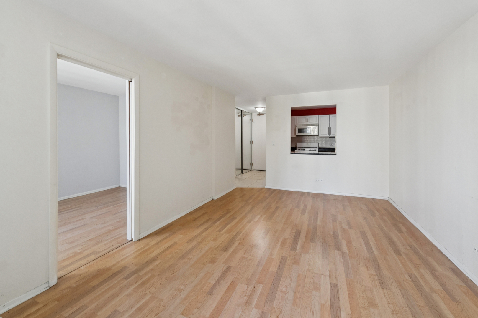 400 E Randolph Street 2502 Property Photo 7