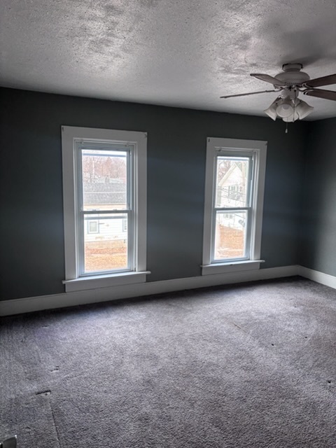 913 Vine Street Property Photo 5