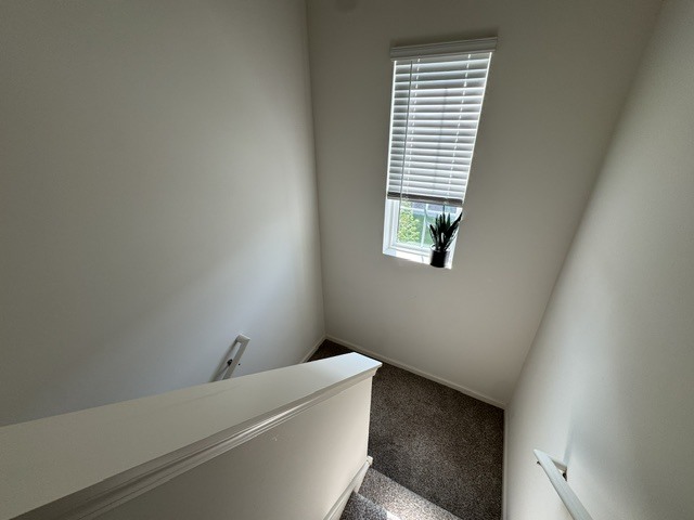 1039 Briar Glen Court Property Photo 6