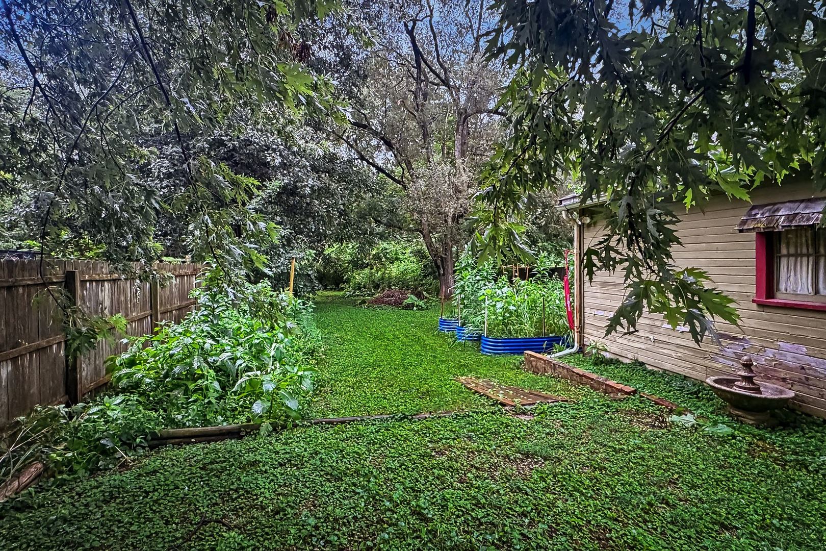 1508 N Linden Street Property Photo 24