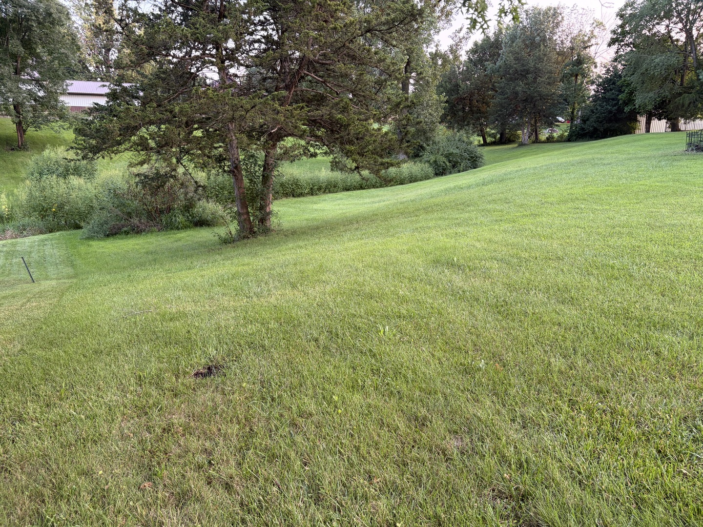 Lot 50 Robins Glen Property Photo 3