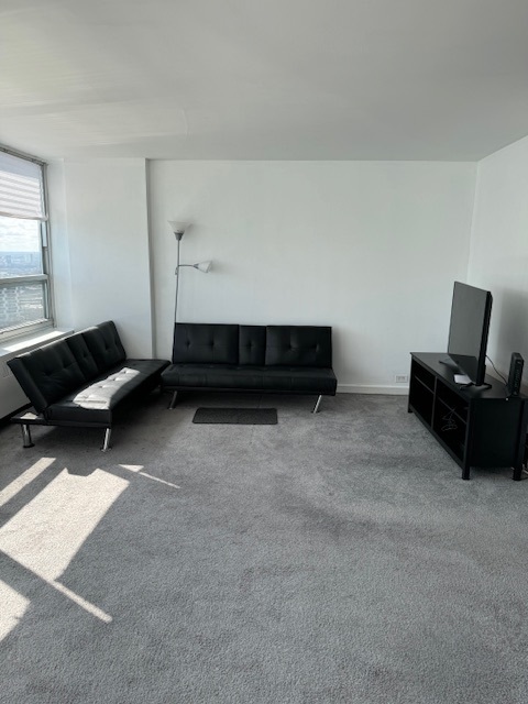 4800 S Chicago Beach Drive 2710n Property Photo 4