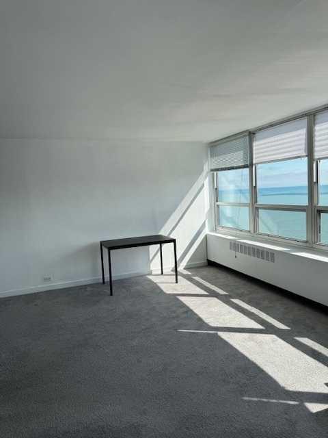 4800 S Chicago Beach Drive 2710n Property Photo 5