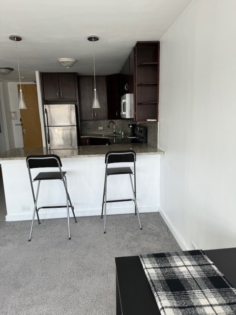 4800 S Chicago Beach Drive 2710n Property Photo 7