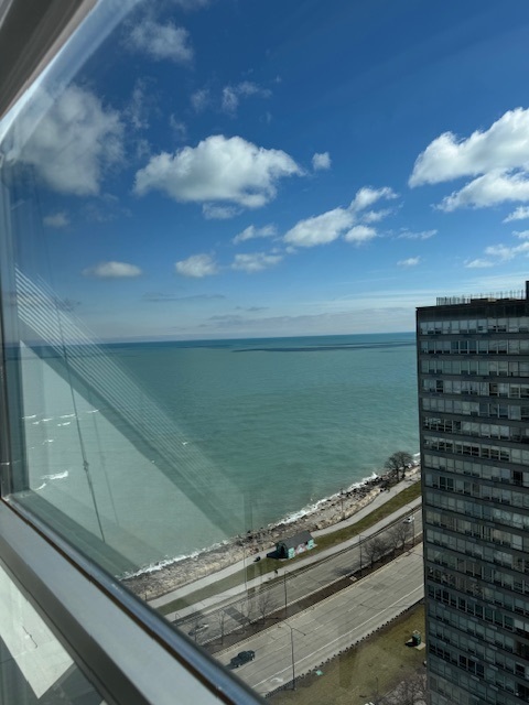 4800 S Chicago Beach Drive 2710n Property Photo 17