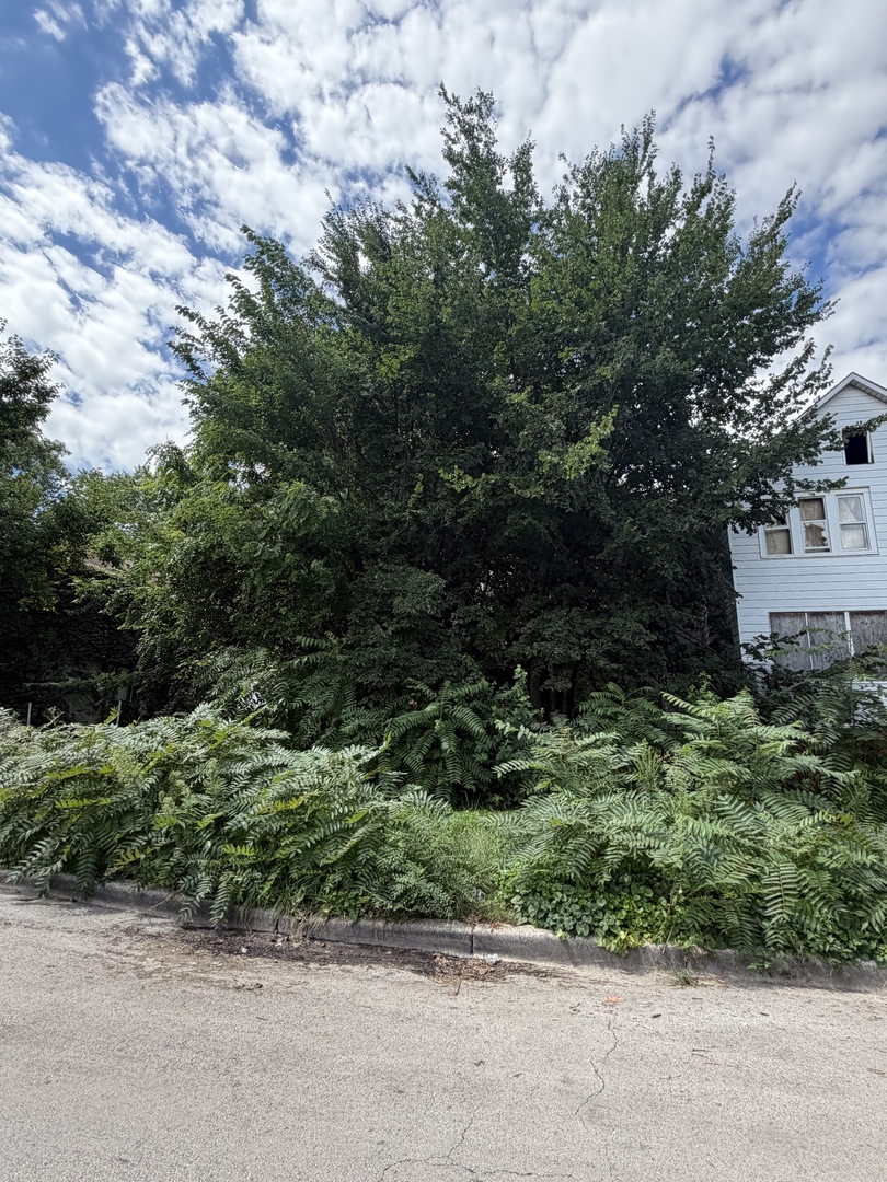 8228 S Manistee Avenue Property Photo 1