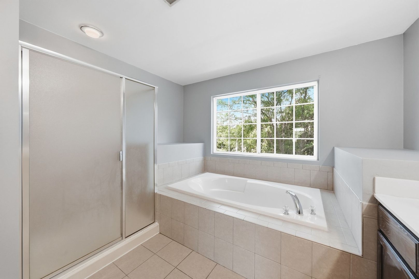 3335 Silver City Court Property Photo 41